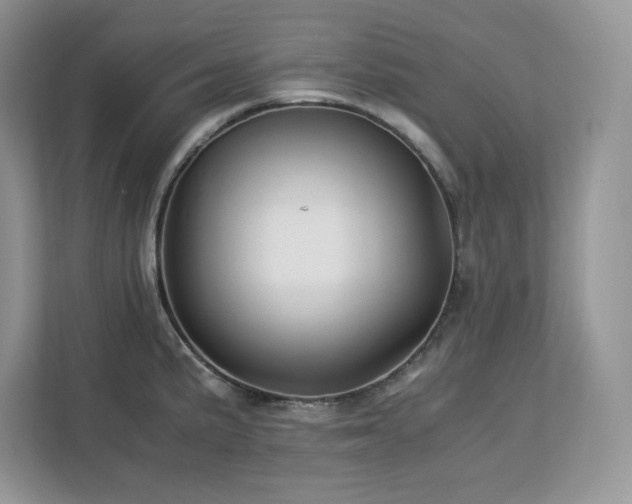 X0000113091191200908281237