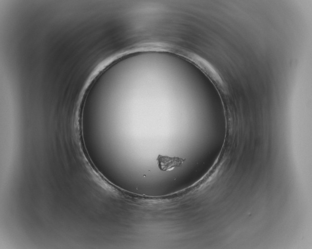 X0000113091192200908281237