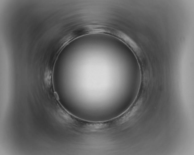 X0000113091193200908281237