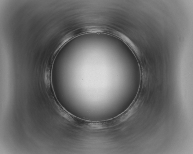 X0000113091194200908281237