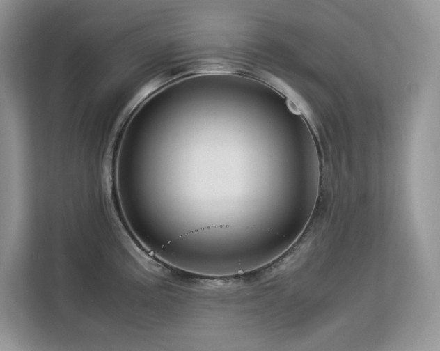 X0000113091195200908281237