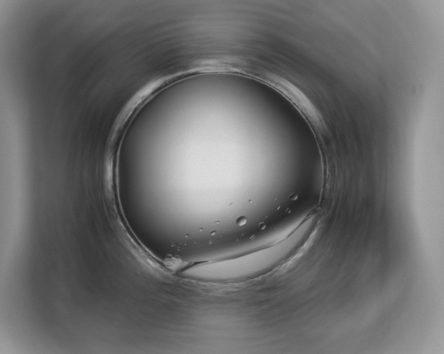 X0000113091196200908281237