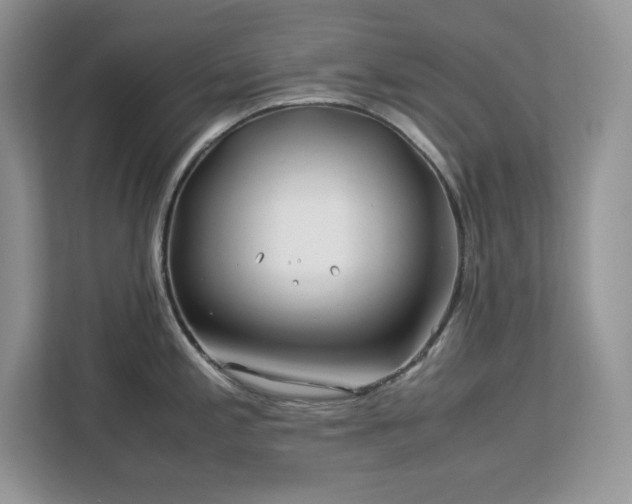 X0000113091197200908281237