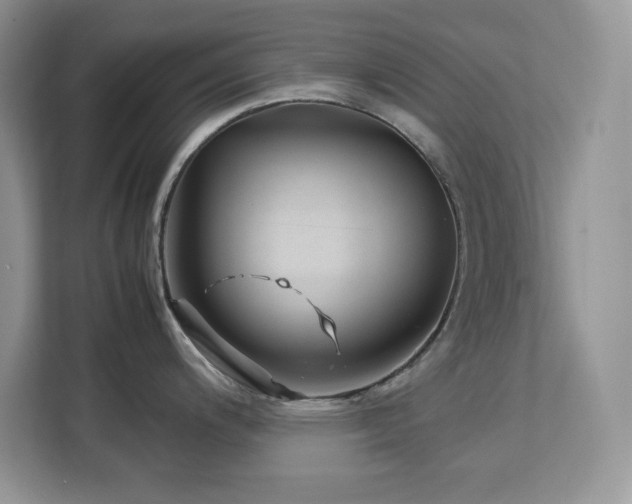 X0000113091200200908281237