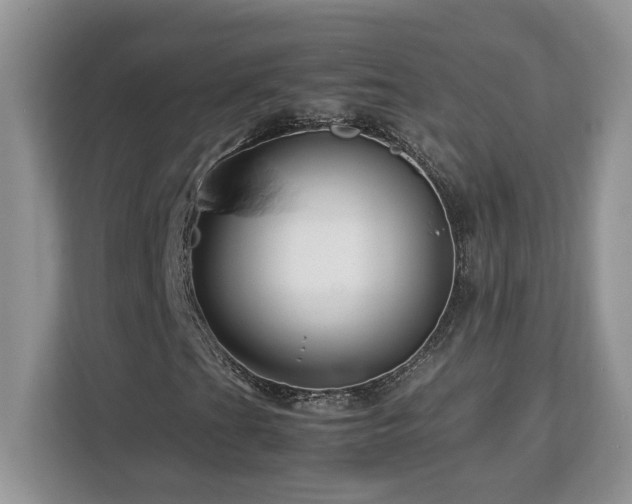X0000113091201200908281236