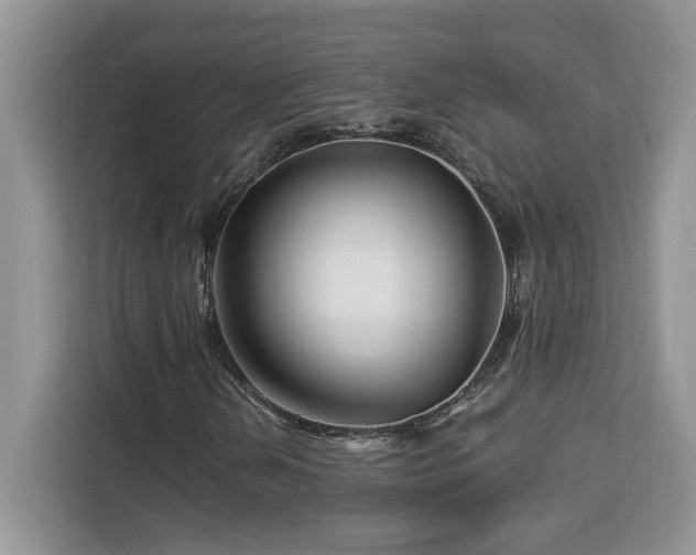 X0000113091202200908281236