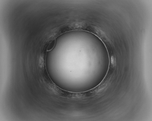 X0000113091203200908281236