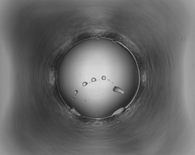 X0000113091204200908281236