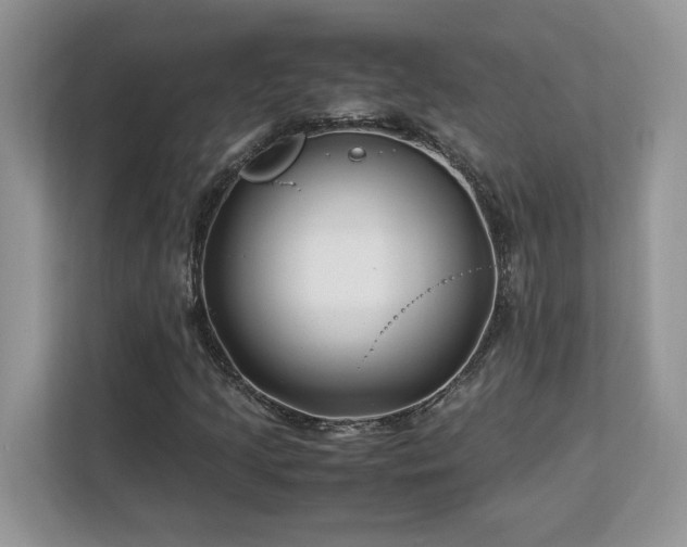X0000113091205200908281236