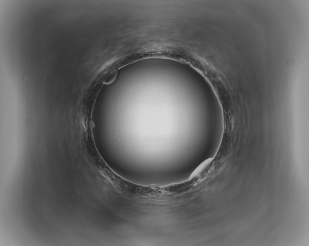 X0000113091206200908281236