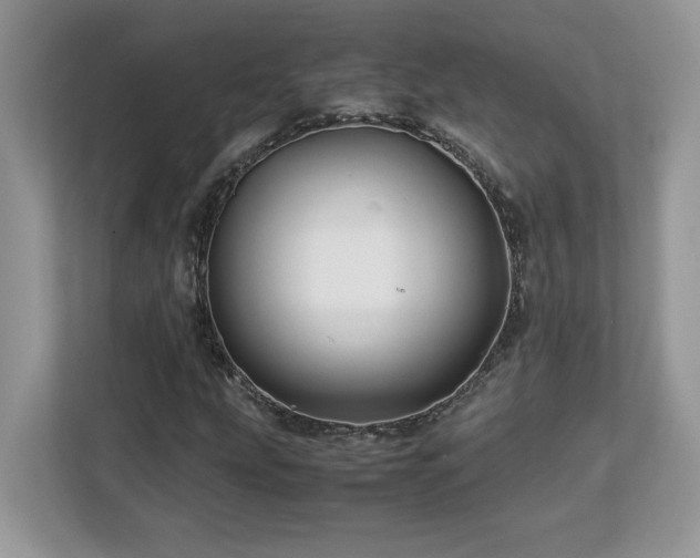 X0000113091207200908281236