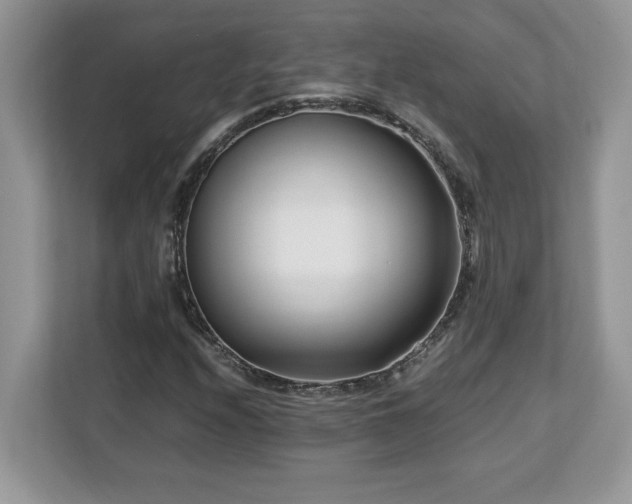 X0000113091208200908281236