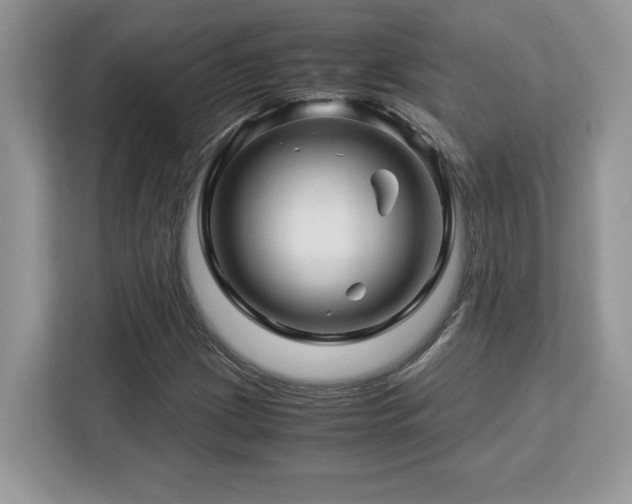 X0000113091209200908281236