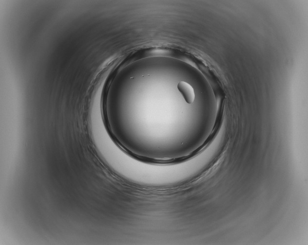 X0000113091210200908281236