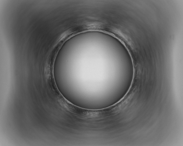 X0000113091211200908281236