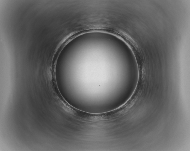 X0000113091212200908281236