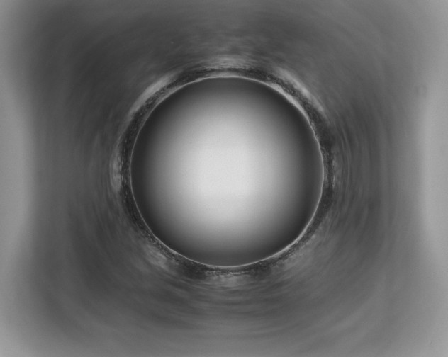 X0000113091213200908281236