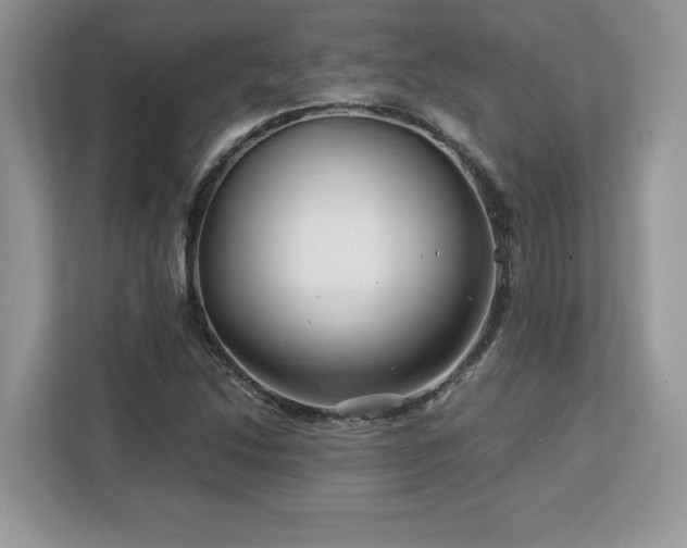 X0000113091214200908281236