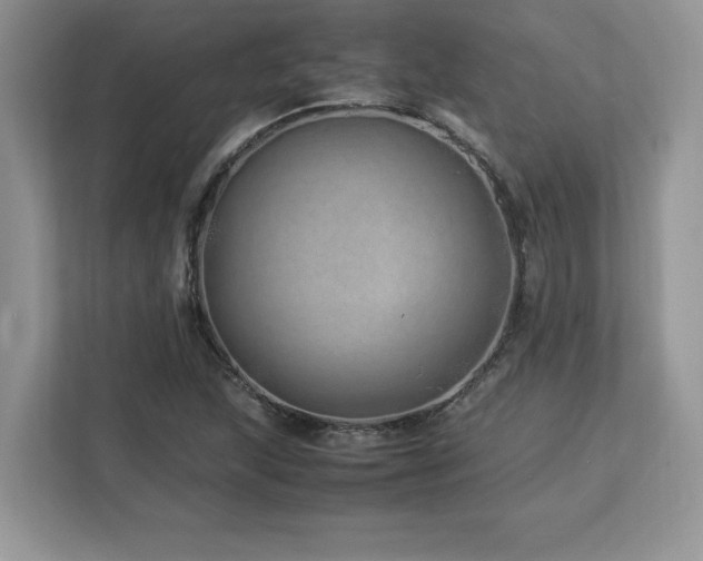 X0000113091215200908281236