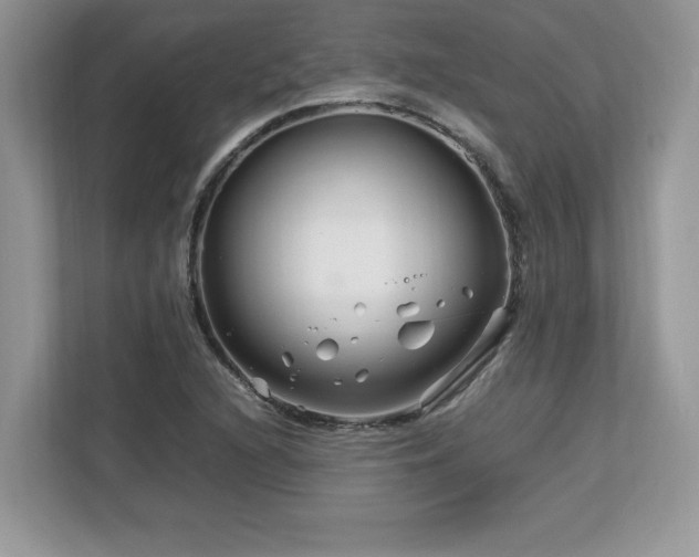X0000113091216200908281237
