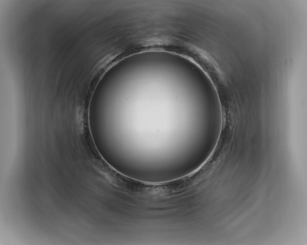 X0000113091217200908281237