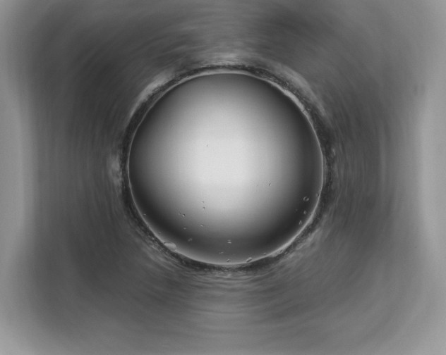 X0000113091218200908281237