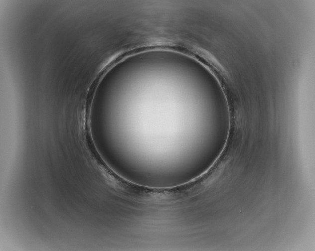X0000113091220200908281237