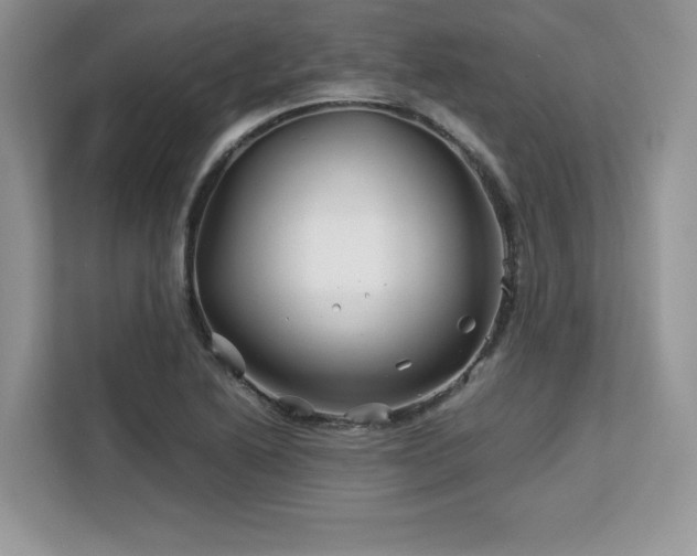 X0000113091222200908281237