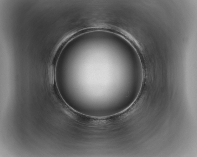 X0000113091223200908281237
