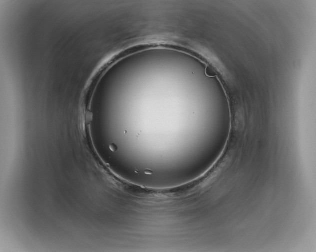 X0000113091224200908281237