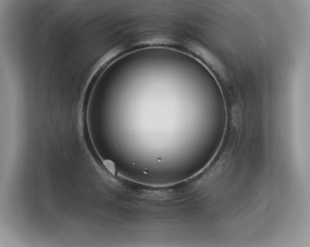 X0000113091229200908281237