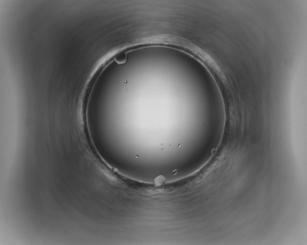 X0000113091230200908281237