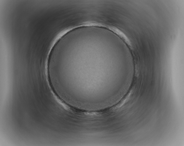 X0000113091231200908281237