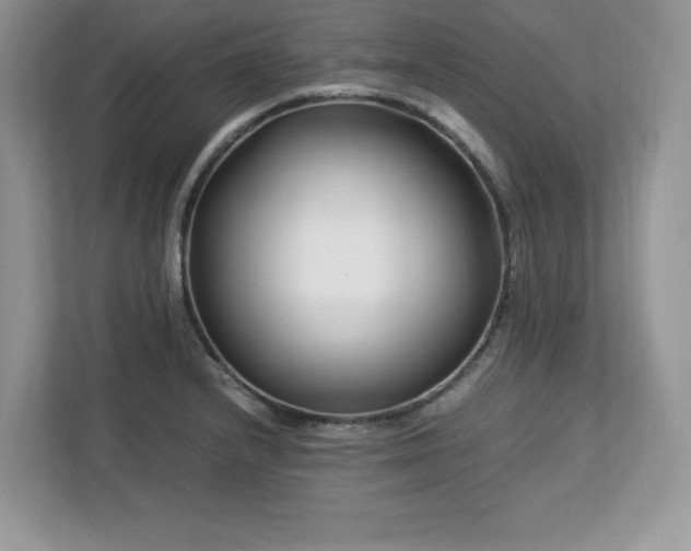 X0000113091232200908281237