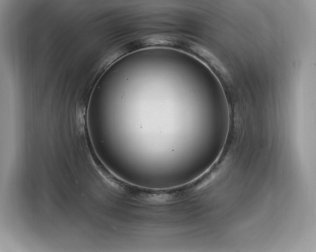 X0000113091233200908281237
