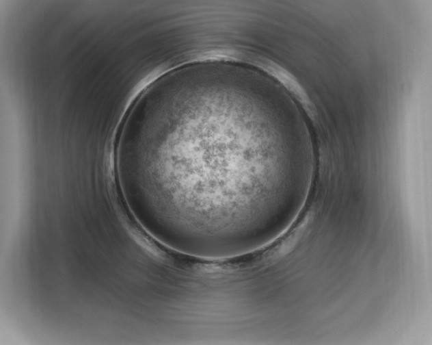 X0000113091234200908281237