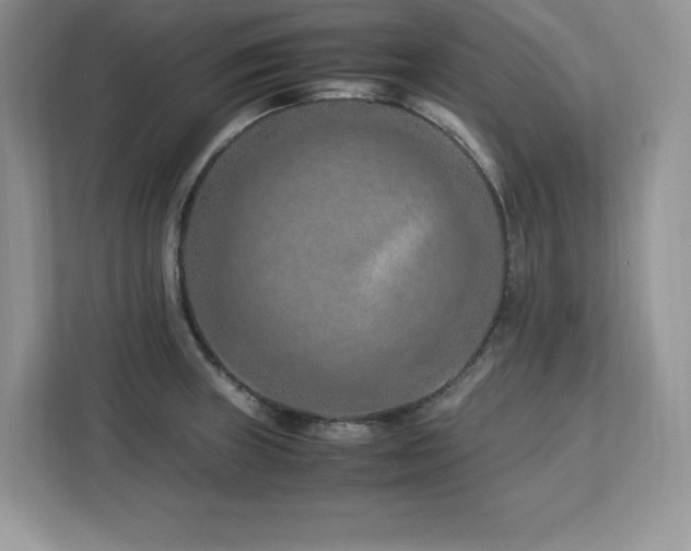 X0000113091235200908281237