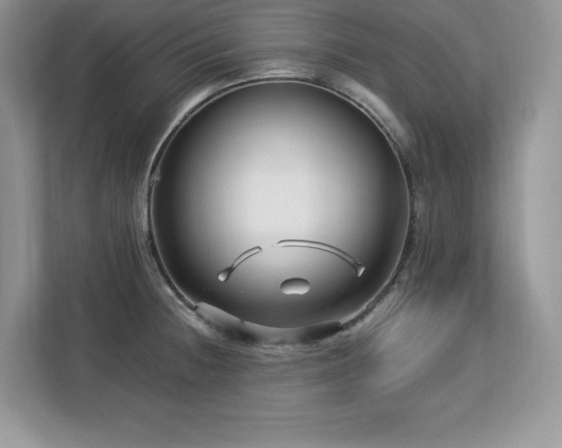 X0000113091236200908281237