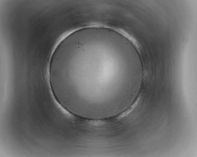 X0000113091239200908281237