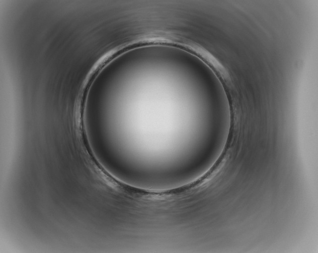 X0000113091240200908281237