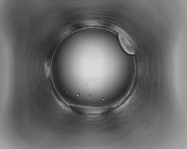 X0000113091241200908281237