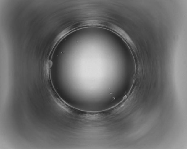 X0000113091242200908281237