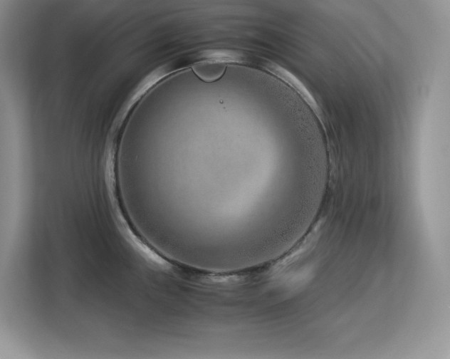 X0000113091243200908281237