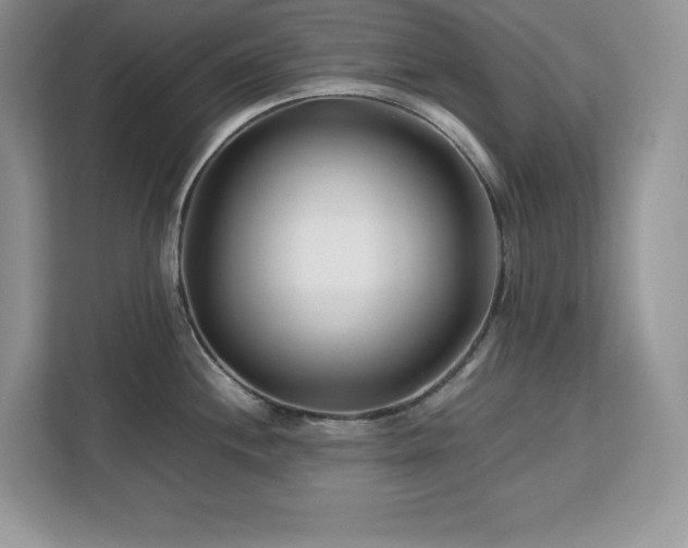 X0000113091244200908281237
