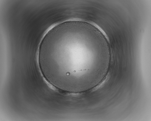 X0000113091245200908281237