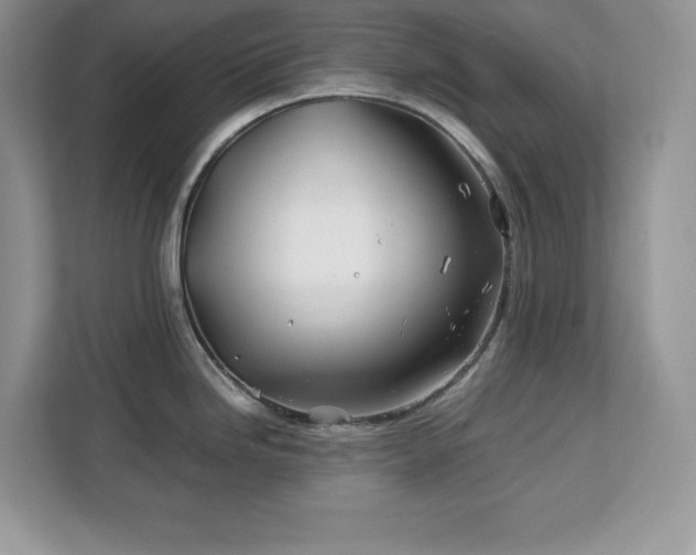 X0000113091246200908281237