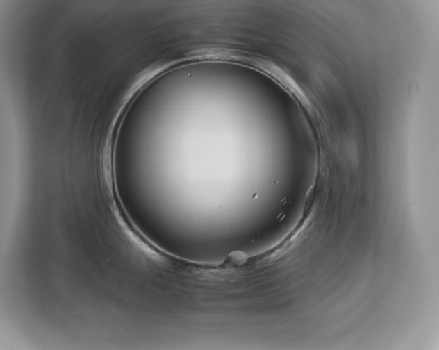 X0000113091247200908281237