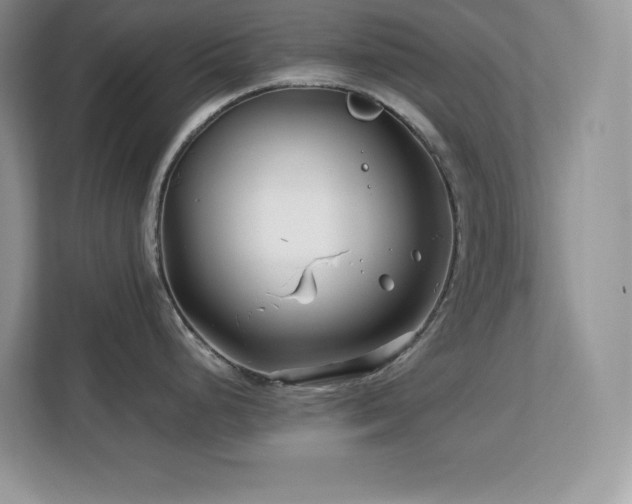 X0000113091248200908281237