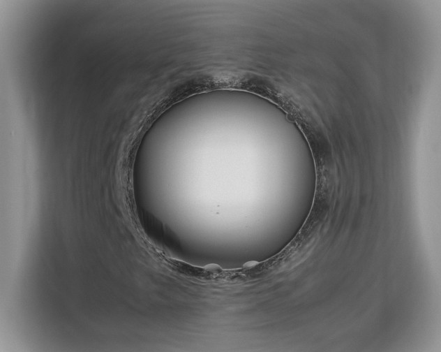X0000113091249200908281236