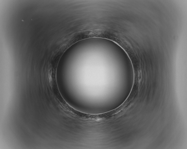 X0000113091250200908281236